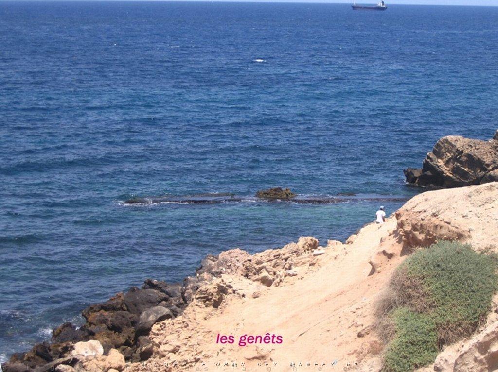 ORAN MAI 2008 3258 les genets.jpg